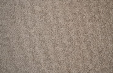 plejada 871