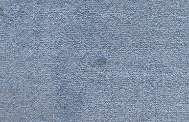 plejada 950